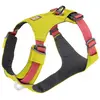 Image de Ruffwear Harnais Pour Chien Hi & Light 