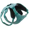 Image de Ruffwear Harnais Pour Chien Web Master 
