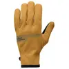 Image de Black Diamond Gants Everyday Softshell L