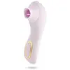 Image de Blush - Delice Fleur Luchtpulserende Vibrator - Barely Purple
