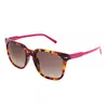 Image de Sting Lunettes De Soleil Sst009539aty