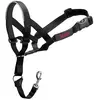 Image de Company Of Animals Collier De Dressage Halti