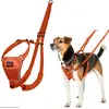 Image de Company Of Animals Harnais Pour Chien Halti No Pull