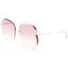 Image de Longchamp Lunettes De Soleil Pour Femme Lo160s716