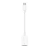 Image de Apple Adaptateur USB-C vers USB-A MW5L3ZM/A