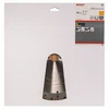 Image de Bosch Accesorios Lame De Scie Circulaire Pour Bois Cw Wo S 315x30-20