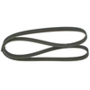 Image de Multiriem 5PK1219 Bosch