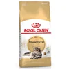Image de Royal Canin Nourriture Pour Chats Adultes Maine Coon 4kg