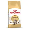 Image de Royal Canin Nourriture Pour Chats Adultes Maine Coon 10kg
