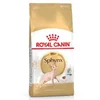 Image de Royal Canin Nourriture Pour Chats Adultes Sphynx 2kg