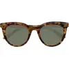 Image de Isotoner - Lunettes de soleil Femme Papillon Écaille