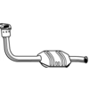 Image de Katalysator 20300 Walker