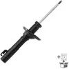 Image de Schokdemper JGM209T TRW