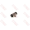 Image de Wielremcilinder BWF362 TRW