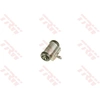 Image de Wielremcilinder BWF373 TRW
