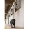 Image de Diego & Louna Manteau Pour Chien Nylon Teddy