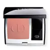Image de Dior Blush Rouge Blush Matte 100