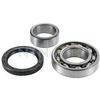 Image de Wiellager R17715 SNR