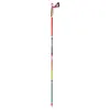 Image de Tsl Outdoor Bâtons Trail Carbon 4