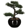 Image de Atmosphera Plante Artificielle Jj070 36 Cm Deco Green Collection
