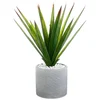 Image de Atmosphera Plante Artificielle 49 Cm Deco Green Collection