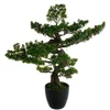 Image de Atmosphera Plante Artificielle 80 Cm Deco Green Collection
