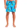 Image de Quiksilver Short De Bain Everyday Straight Volley 17