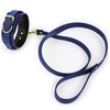 Image de Collier et Laisse Lighty Bleu