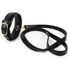 Image de Collier et Laisse Lighty Noir