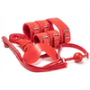 Image de Coffret BDSM 7 Pièces Wicked Rouge
