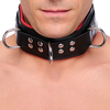 Image de Collier en cuir rembourré avec 3 anneaux D Rouge