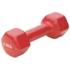 Image de Sporti France Halt ¨re Vinyl 0.5kg 2 Unit ©s 0.5 kg
