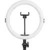 Image de AgfaPhoto 11 Pouces Ring Light + Remote AR11
