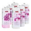 Image de Miele UltraPhase FloralBoost 12282430