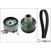 Image de Distributieriemset 530007910 Ina