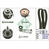 Image de Distributieriemset 530008910 Ina