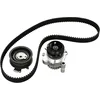 Image de Waterpomp + Distributieriemset 530017130 Ina