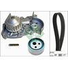 Image de Waterpomp + Distributieriemset 530001831 Ina