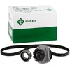Image de Waterpomp + Distributieriemset 530020630 Ina