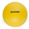 Image de Finnlo Balle Gym 55 Cm One Size