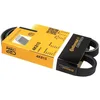 Image de Multiriem 4PK815 Contitech