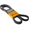 Image de Multiriem 6PK2260 Contitech