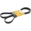 Image de Multiriem 6PK1715 Contitech