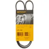 Image de Multiriem 4PK950 Contitech