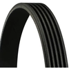 Image de Multiriem 5PK1815 Contitech