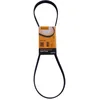 Image de Multiriem 6PK1125 Contitech