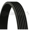 Image de Multiriem 6PK836 Contitech