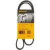 Image de Multiriem 6PK1019ELAST Contitech