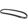 Image de Multiriem 7PK1125 Contitech
