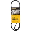Image de Multiriem 4PK895 Contitech